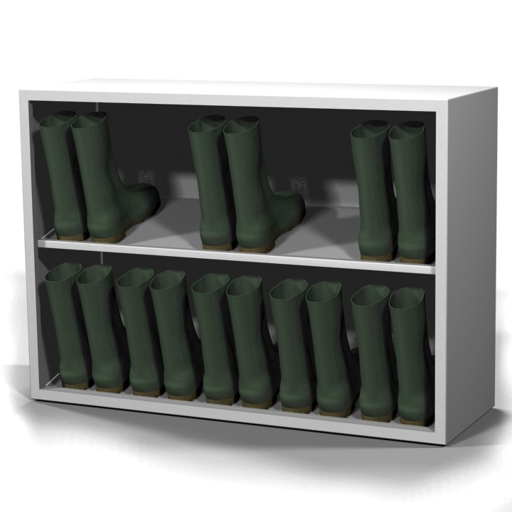 Footwear Case