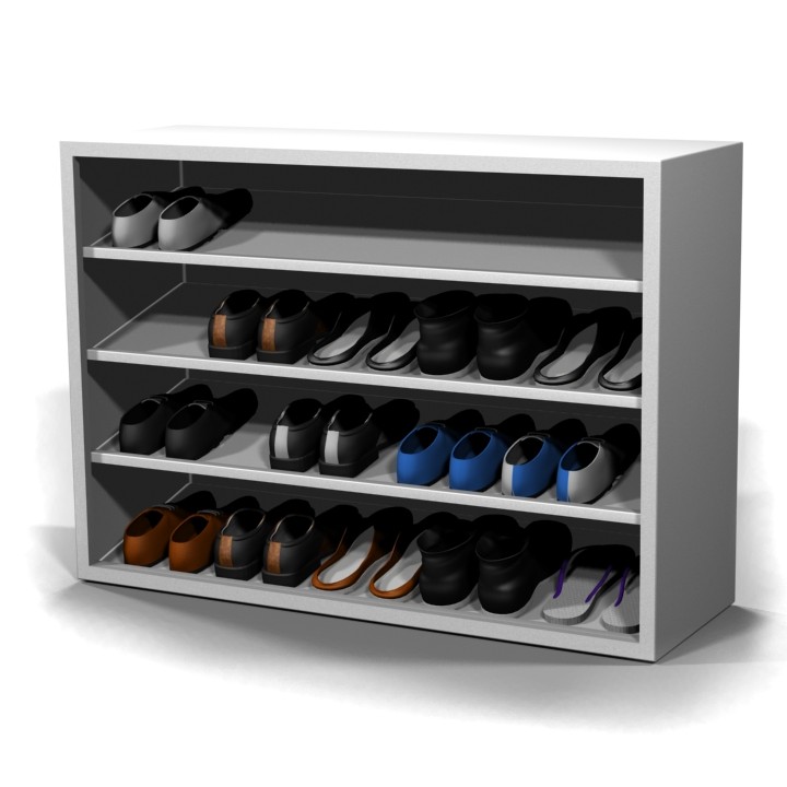 Footwear Case