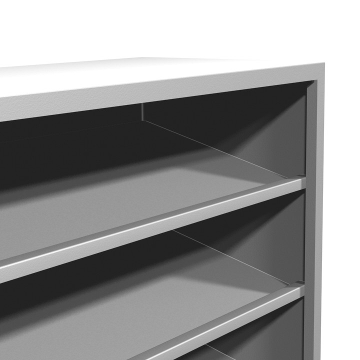 Footwear Case