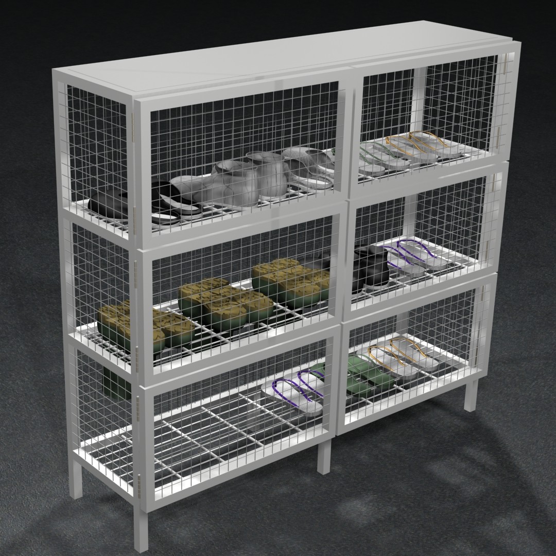 Footwear Case