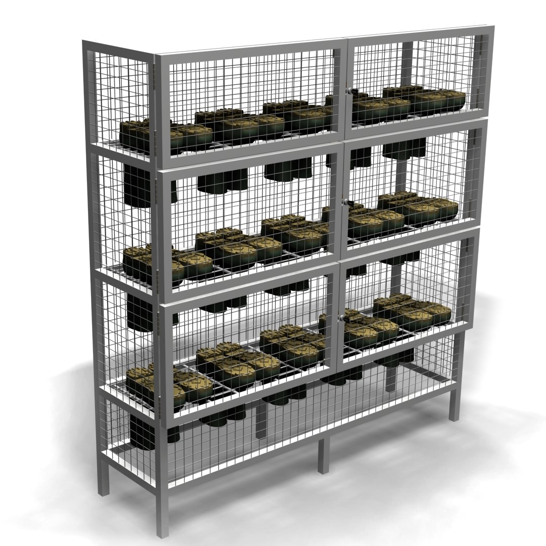 Footwear Case